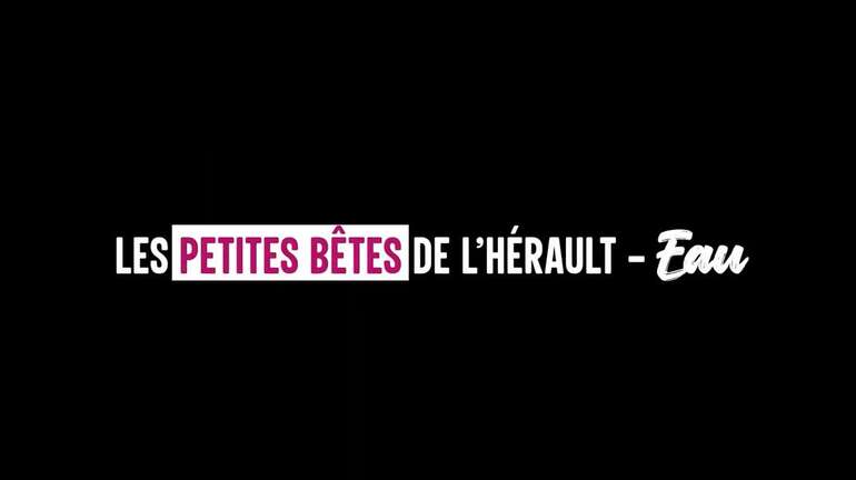 les p'tites bêtes - eau